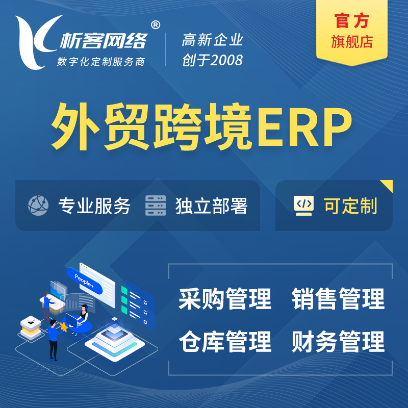 聊城外贸跨境ERP软件生产海外仓ERP管理系统