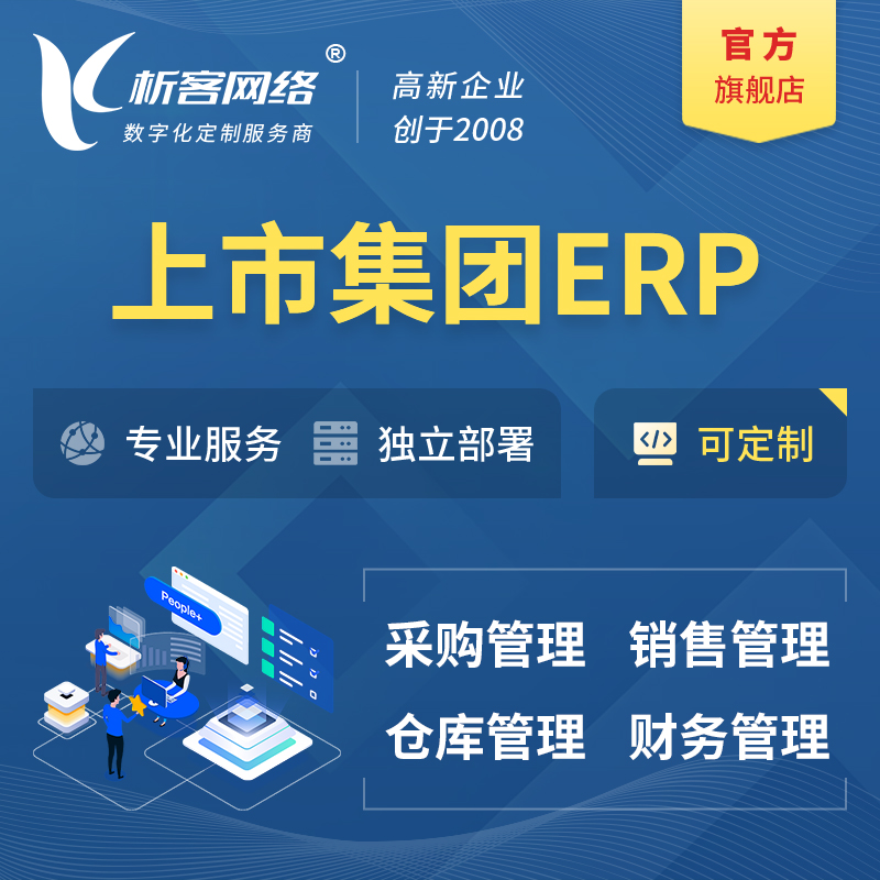 聊城上市集团ERP软件生产MES车间管理系统